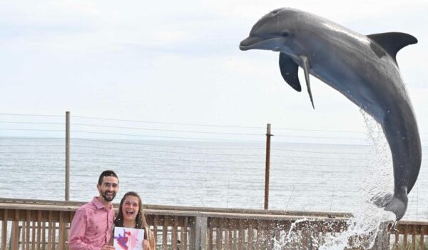 Interaction with Dolphins in St augustine